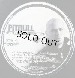 画像1: Pitbull / Ultimate Final Best Collection 