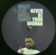 WILEY FEAT EMELI SANDE / NEVER BE YOUR WOMAN 