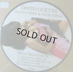 画像1: DAVID GUETTA Feat FLO RIDA & NICKI MINAJ / WHERE THEM GIRLS AT (EROTICA13)