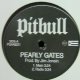 $ PITBULL / PEARLY GATES (PGAA8221) NNN185-5-5 後程済