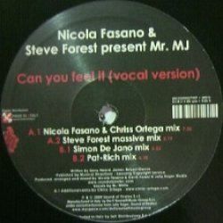 画像1: NICOLA FASANO & STEVE FOREST / CAN YOU FEEL IT 