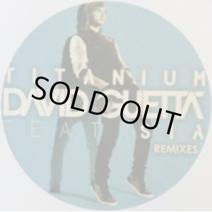 画像: DAVID GUETTA / TITANIUM (GUETTAT006) 完売