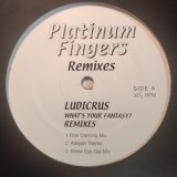 画像: %% Platinum Fingers Remixes (FANTASY 001) Ludacris / What's Your Fantasy * Madonna / Don't Tell Me (黒穴) YYY488-5346-1-5+