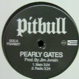 画像: $ PITBULL / PEARLY GATES (PGAA8221) NNN185-5-5 後程済