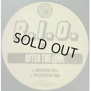 画像: R.I.O. / AFTER THE LOVE 