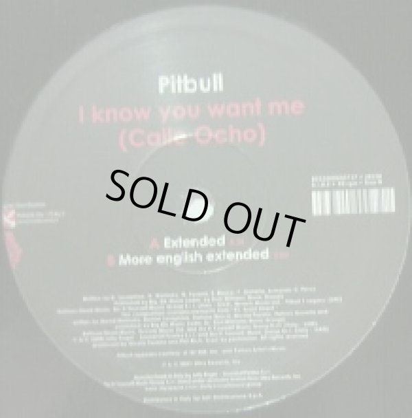 画像1: PITBULL / I KNOW YOU WANT ME (CALLE OCHO)