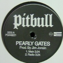 画像1: $ PITBULL / PEARLY GATES (PGAA8221) NNN185-5-5 後程済